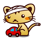 頭に包帯を巻いている交通安全を願う猫