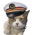 ねこの駅長誕生！！