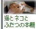 猫とネコとふたつの本棚